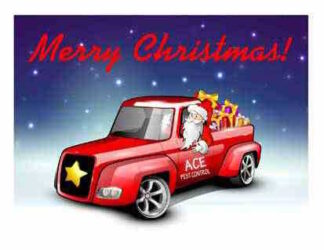 1242 Merry Christmas Truck Holiday Cards