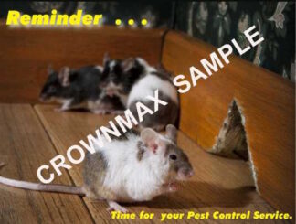 2307 Pest Control Service Reminder Postcard